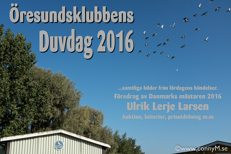 160910_CM_1242-Redigera