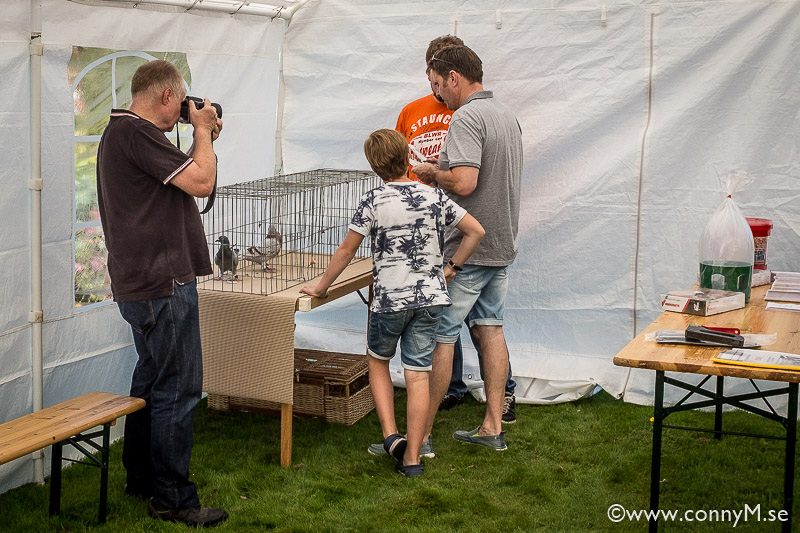 160910_CM_1325