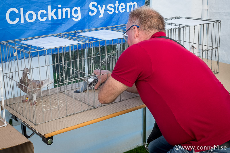 160910_CM_1386