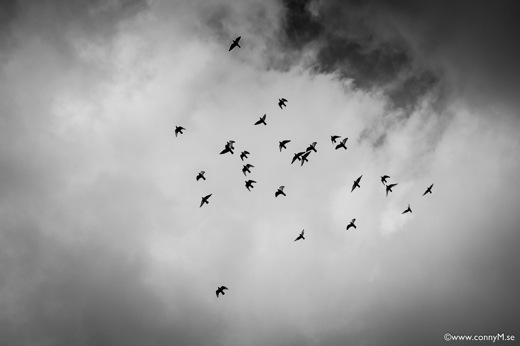 160429_CM_1040_