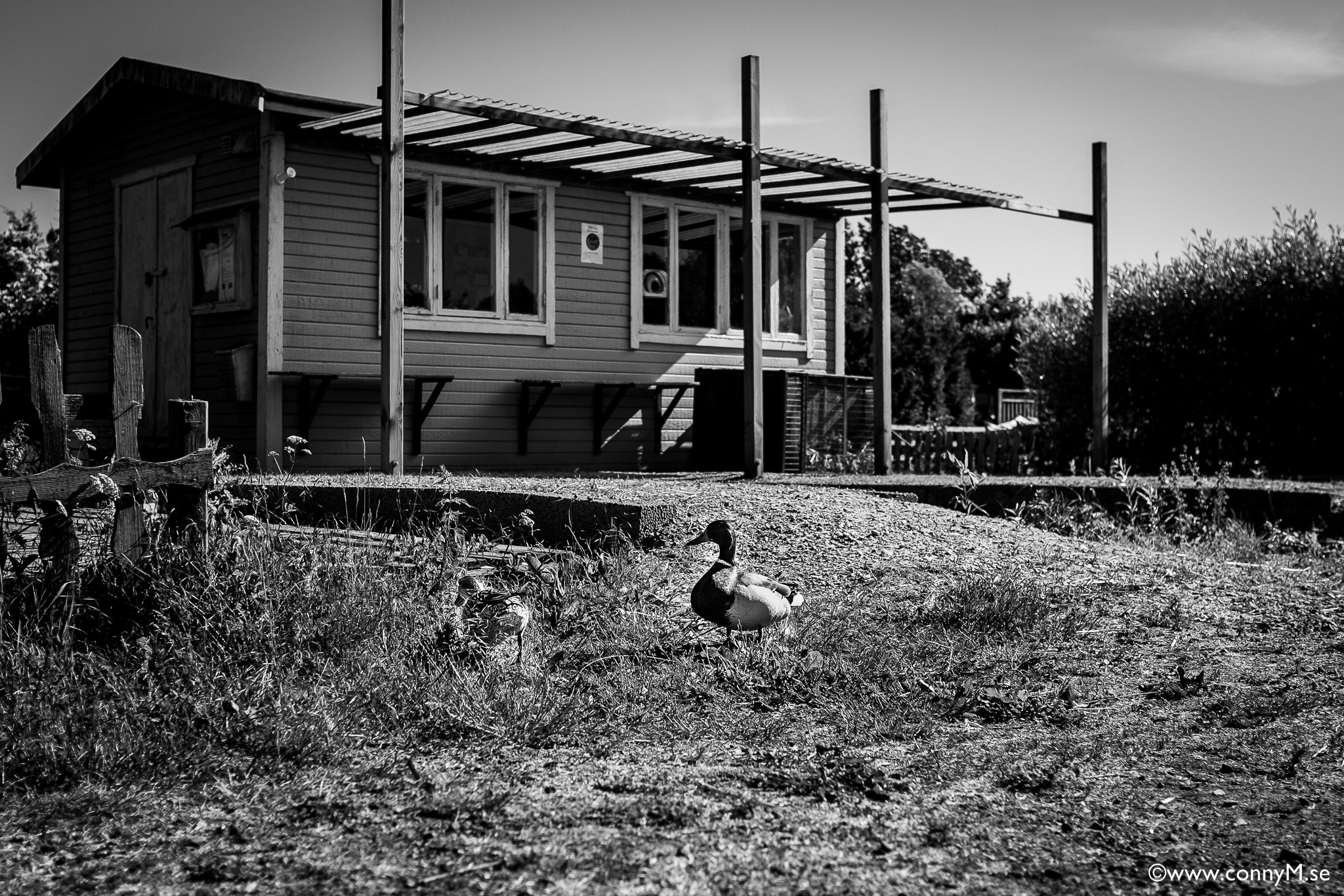 160610_CM_9983_