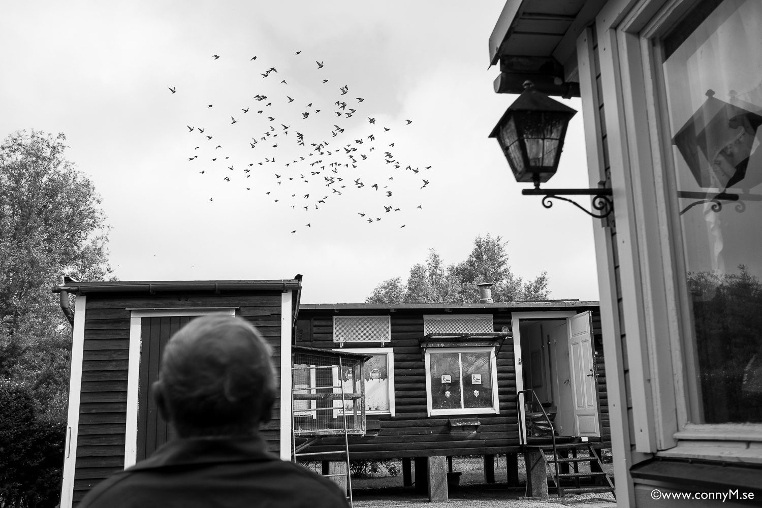 160615_CM_0084