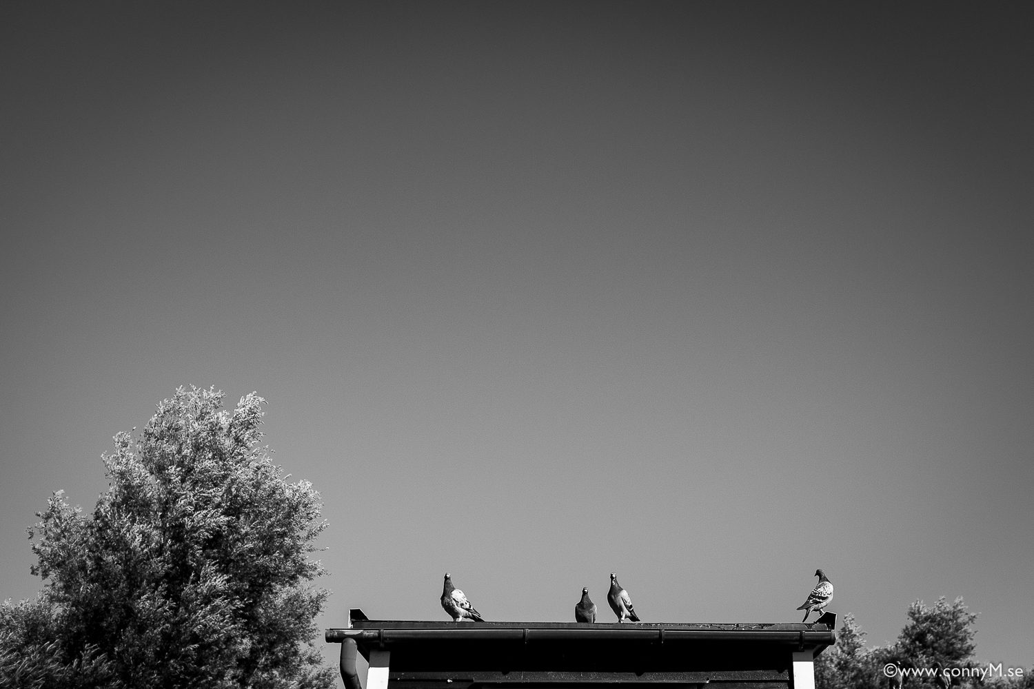 250816_CM_0827