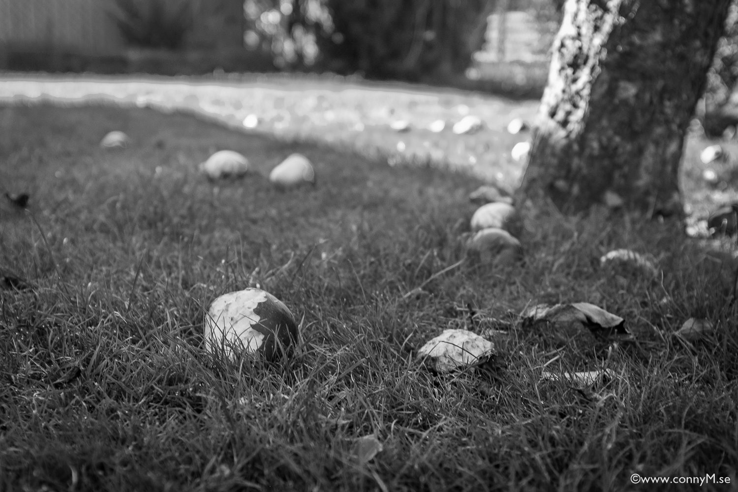 250816_CM_0830