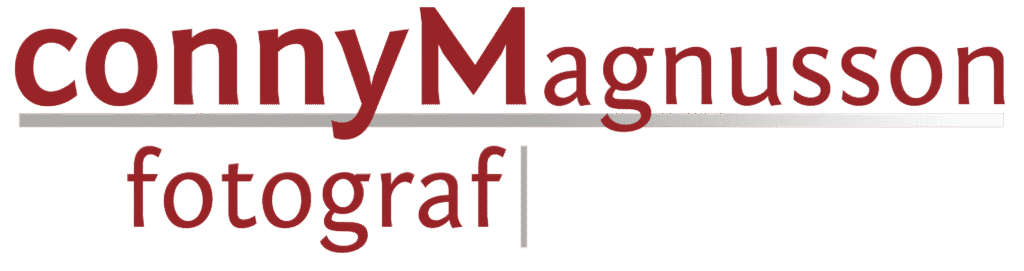 Loga 1707 loga-1707